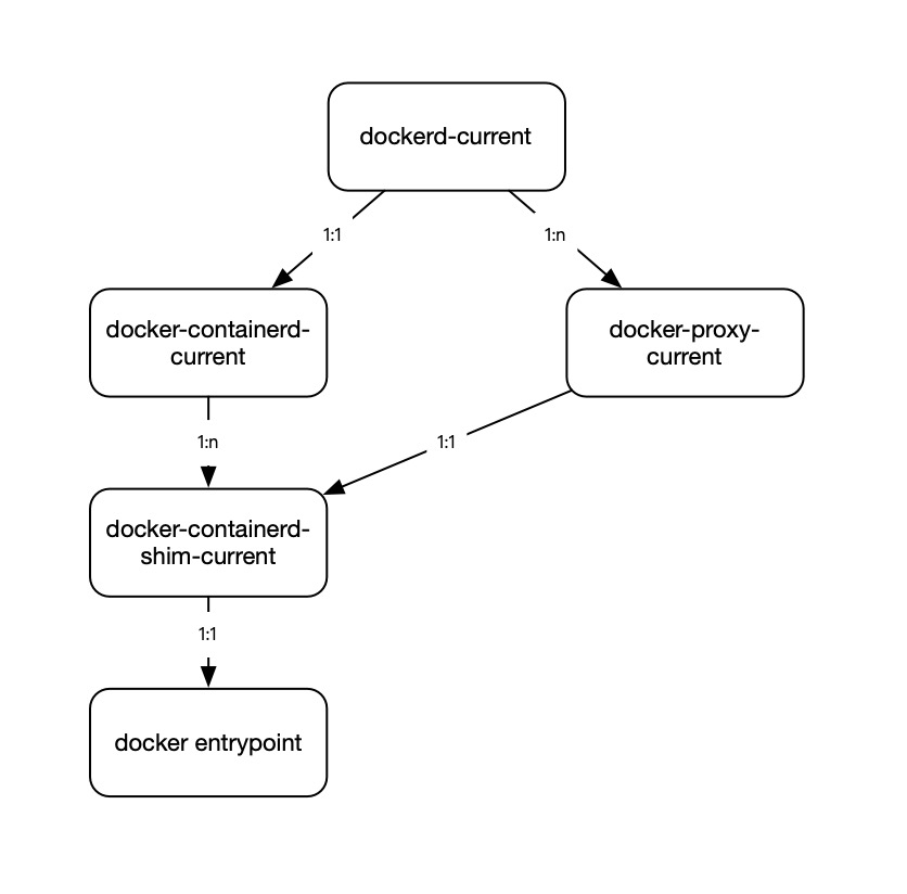 docker进程